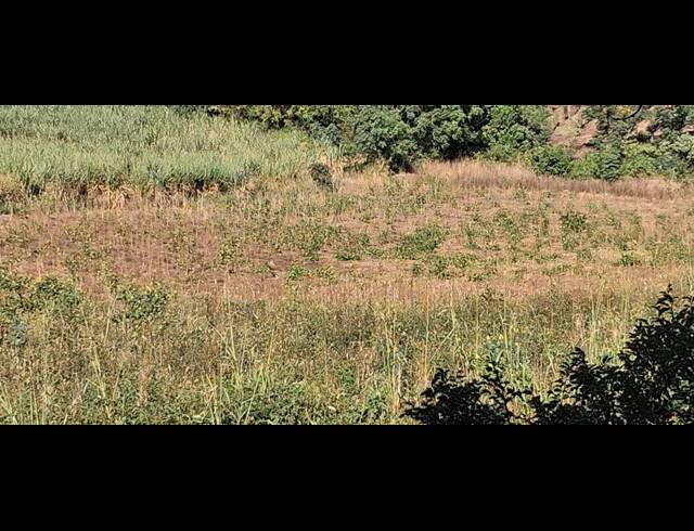 FARM FOR SALE IN HIGH RIDGE